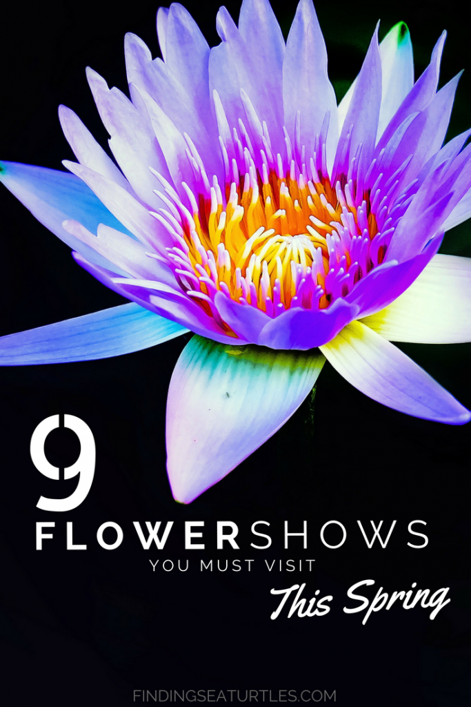 9 Stunning Flower Shows to See In March 2018! #flowershow #spring #gardening