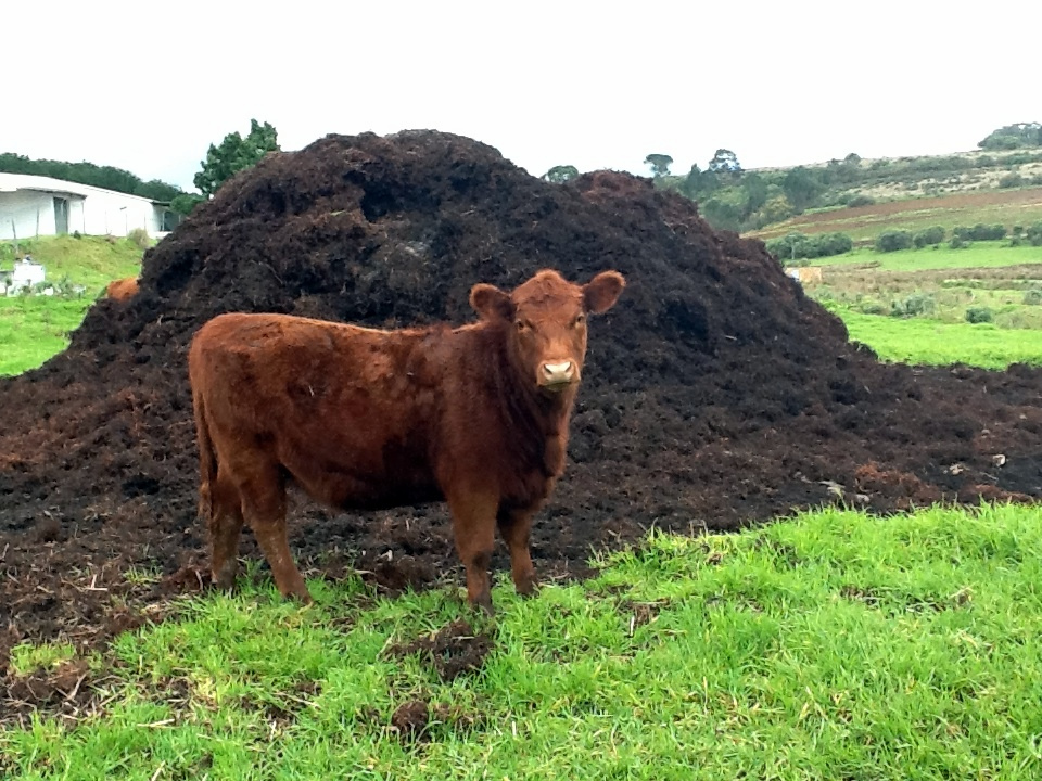 How to Make a Fertile Garden with Soil Amendments #GreenGarden #Composting #SoilConditioners #TopSoil #SphagnumPeatMoss