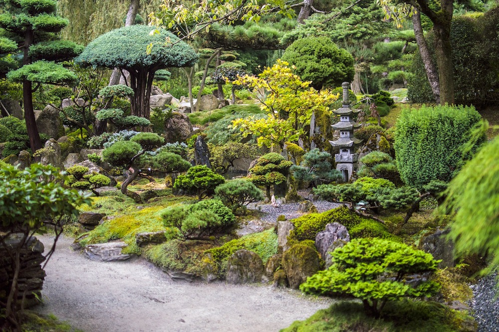 No Grass Yard Japanese Garden with Statuary Shrubs Trees and Moss #MinimizeLawn #ShrinkYourLawn #SmallerLawn #LessGrassLawn