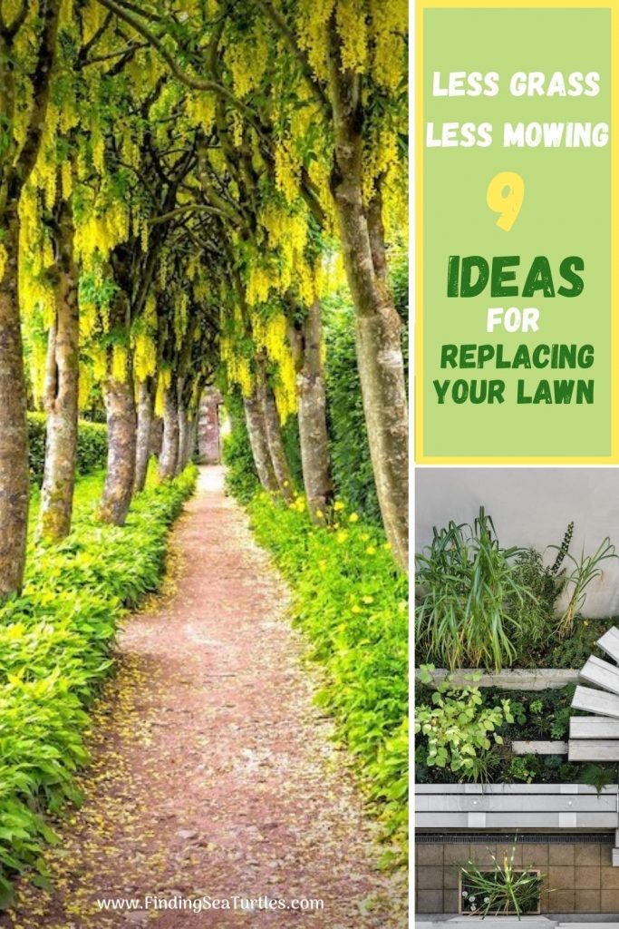 Less Grass Less Mowing 9 Ideas for Replacing Your Lawn #MinimizeLawn #ShrinkYourLawn #SmallerLawn #LessGrassLawn #DownsizeYourLawn