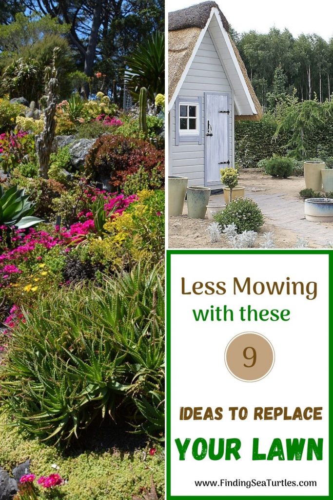 Less Mowing with these 9 Ideas to Replace Your Lawn 