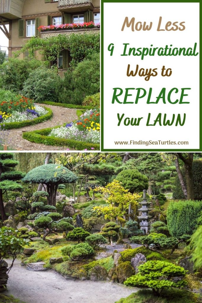Mow Less 9 Inspirational Ways to Replace Your Lawn 