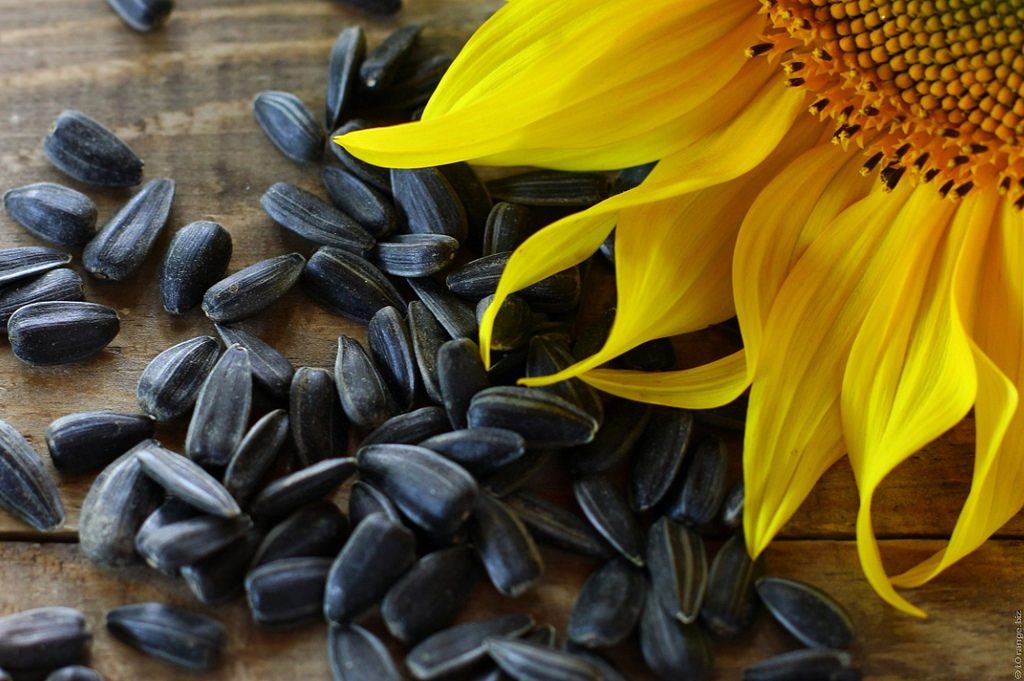 8 Ridiculously Healthy Seeds You Should Be Eating ASAP  #sunflowerseeds #healthyseeds #healthysunflowerseeds #pumpkinseeds