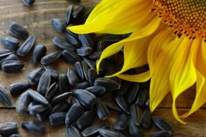 8 Ridiculously Healthy Seeds You Should Be Eating ASAP #pumpkinseeds #sunflowers #sunflowerseeds #healthyseeds #healthysunflowerseeds