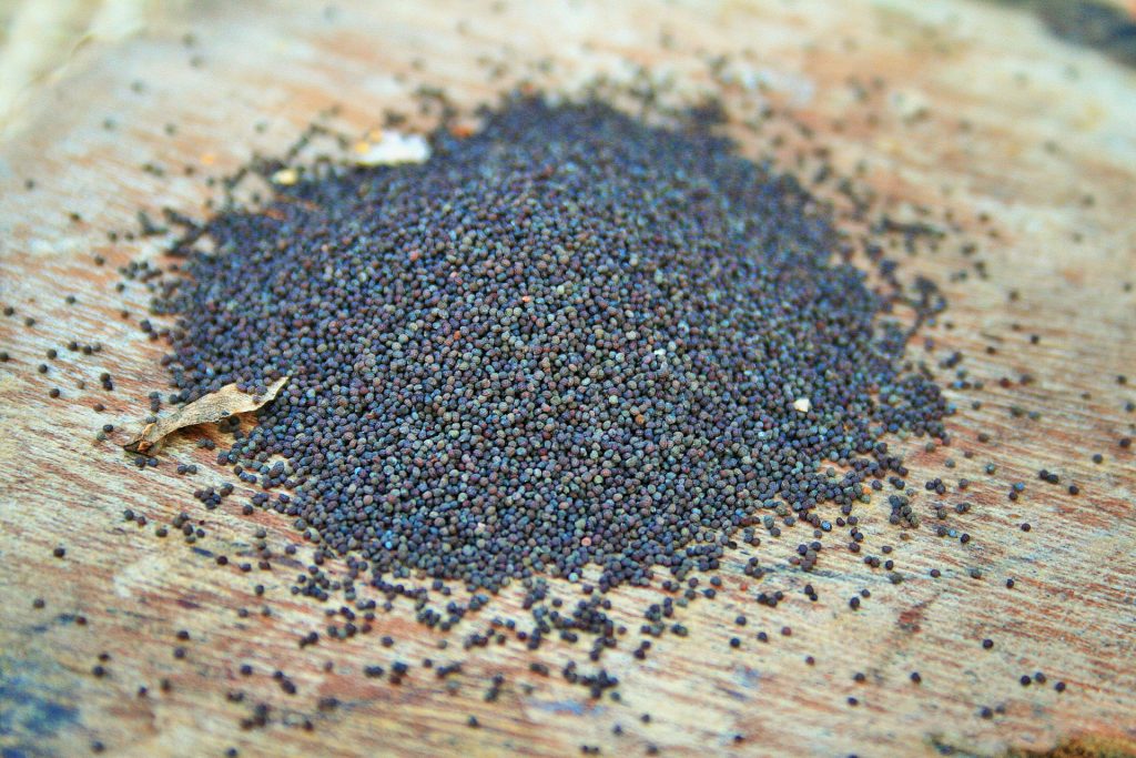 8 Ridiculously Healthy Seeds You Should Be Eating ASAP  #poppyseeds #healthyseeds #healthypoppyseeds
