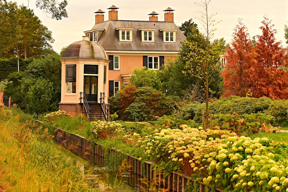 No Grass Garden Old Manor in the Countryside with Hydrangeas Shrubs and Trees #MinimizeLawn #ShrinkYourLawn #SmallerLawn #LessGrassLawn