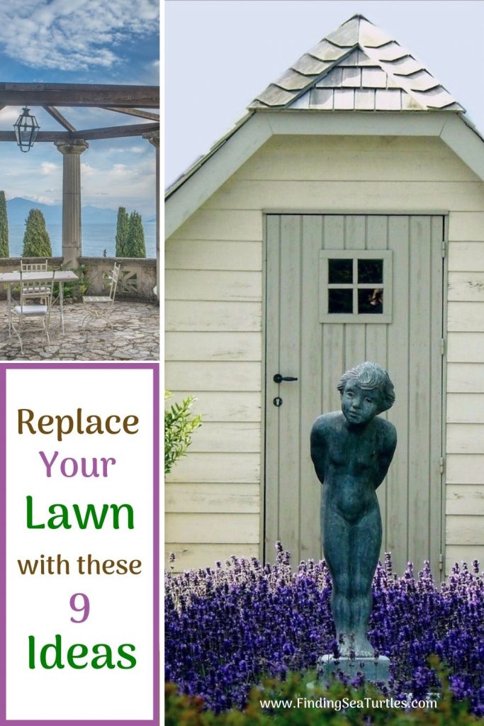 Replace Your Lawn with these 9 Ideas #MinimizeLawn #ShrinkYourLawn #SmallerLawn #LessGrassLawn #DownsizeYourLawn