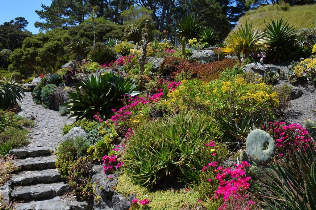 Minimize Lawn Mowing Rock Garden with Cactus in Botanical Garden #MinimizeLawn #ShrinkYourLawn #SmallerLawn #LessGrassLawn