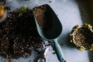How to Save Money On Soil by Starting A Compost #Compost #GardenSoil #FreeSoil #GreenGardening #Gardening