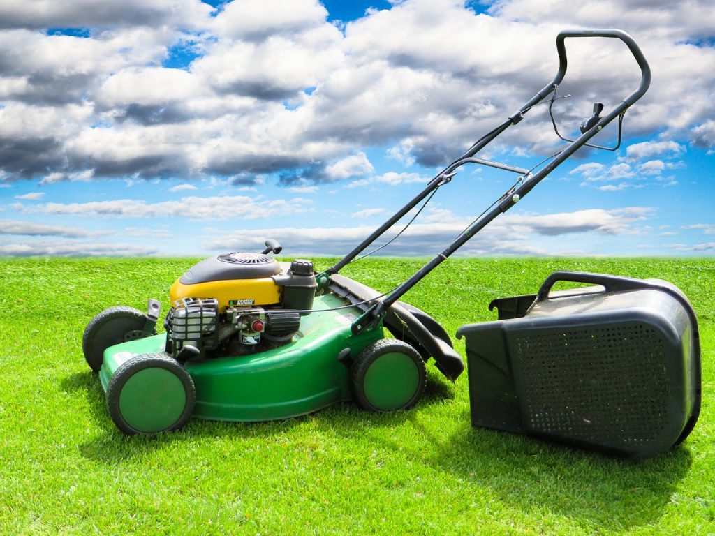 Fantastic Ways to Minimize Your Lawn Mowing #Lawn #LawnMowing #landscape #YardWork #Backyard