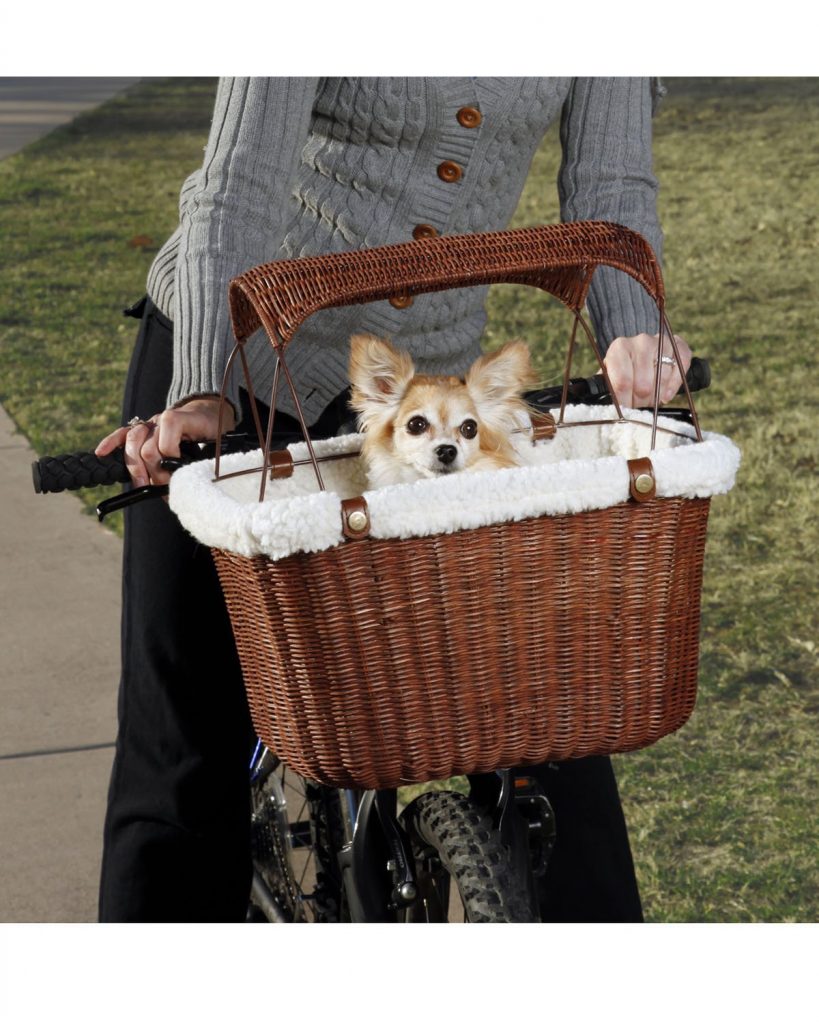 beach and dog basket