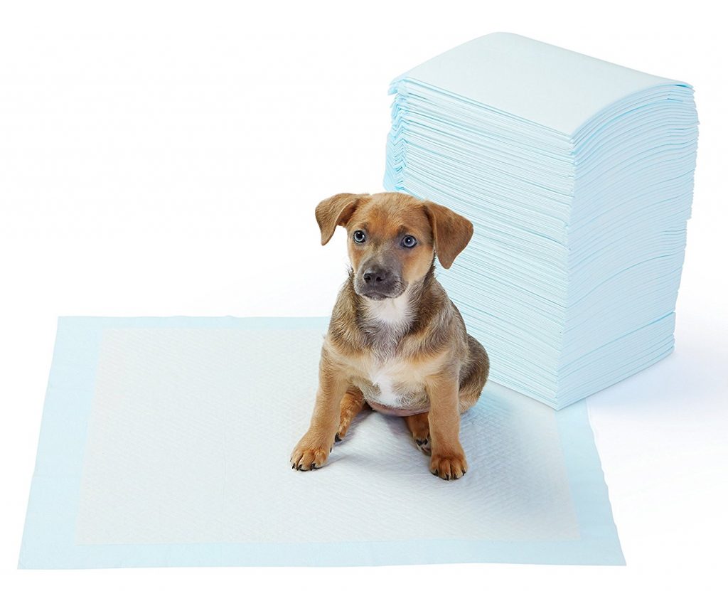 First Time Dog Owner  Cleaning and Odor Elimination Tips - Training Pads #Dogs #FirstTimeDogOwner #DogCleaning #DogTrainingPads #DogCare