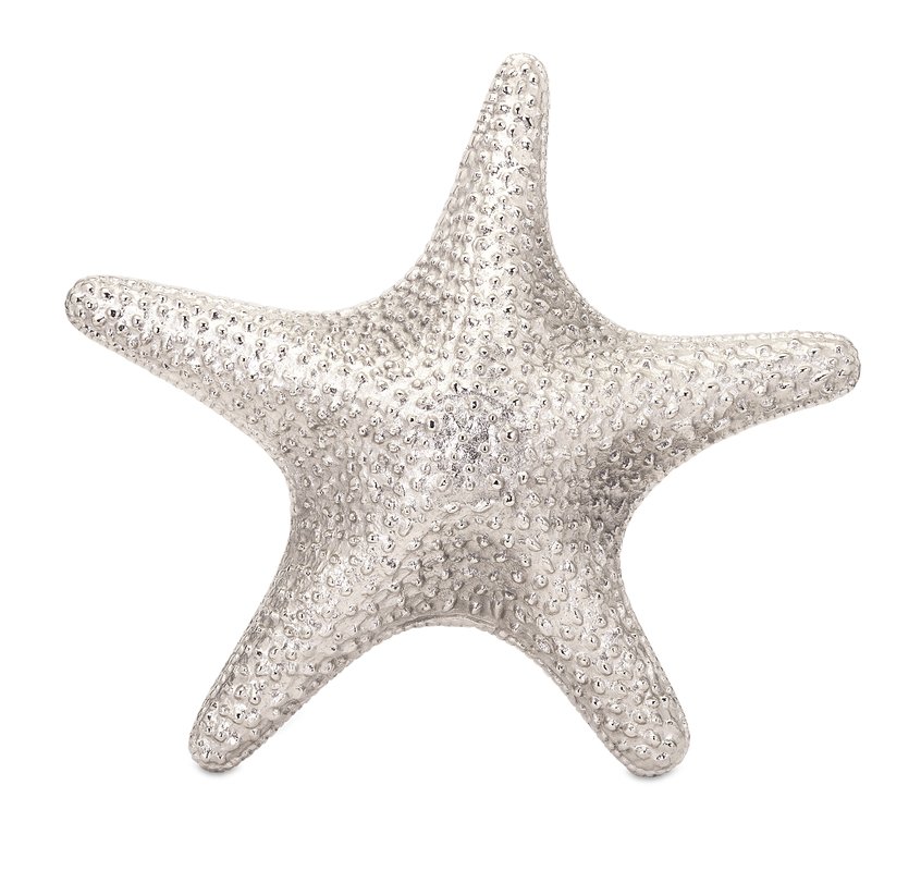 8 Glamorous Metallic Accents to Decorate Your Coastal Home Large Gold Plated Clam Shell #coastaldecor #coastalAccents #Coastaldesign #coastalstarfish