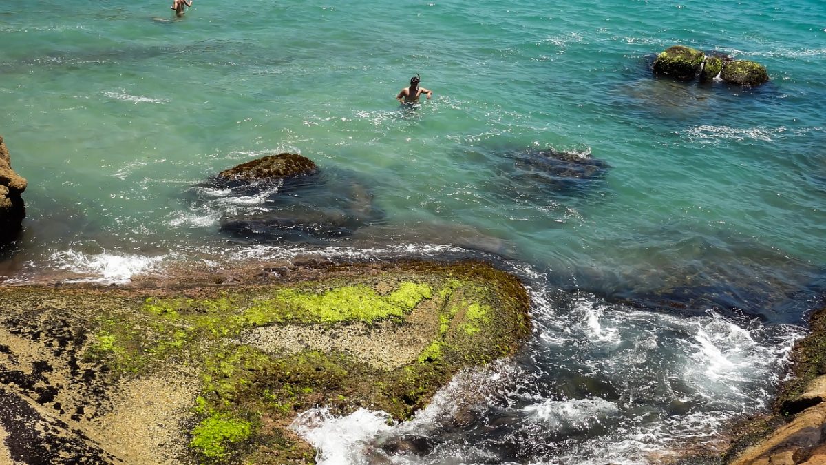 Florianopolis, Santa Catarina, Brazil Coastal Communities We’d Love to Visit Florianopolis, Santa Catarina, Brazil #SilveriajHonatas #BeachesinBrazil #BrazilianBeaches #Floripa