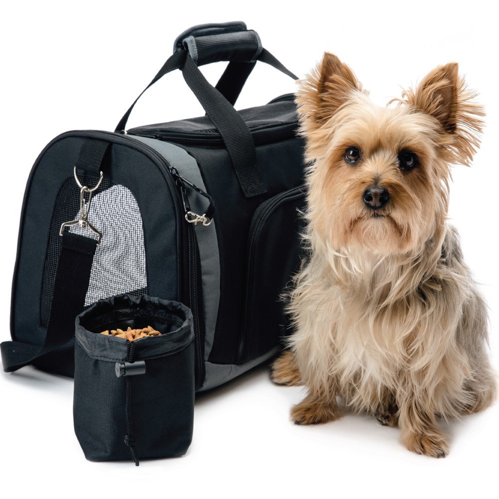 First Time Dog Owner  Road Trip Tips - Gorilla Grip Pet Purse Carrier Bag #FirstTimeDogOwner #DogsTravel #DogRoadTrip #DogGorillaGrip #Dogs