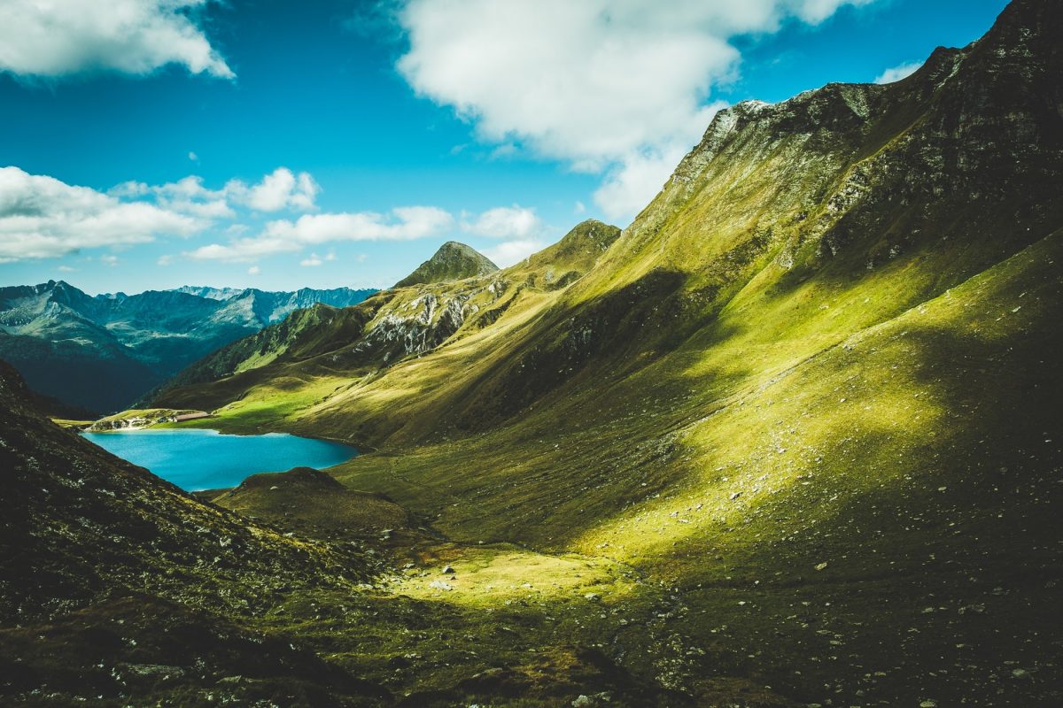 Celebrate Earth Day: 25 Small Ways to Help
