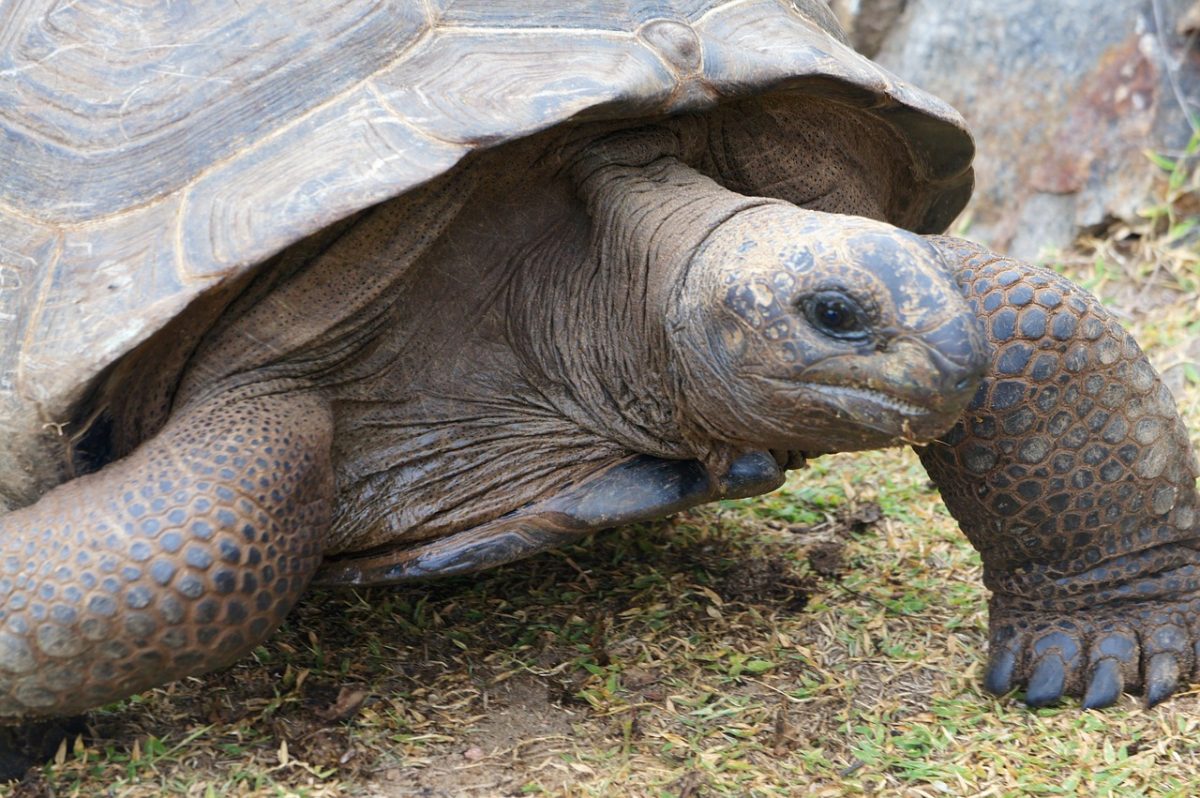 Galápagos Islands, Ecuador: Staying There