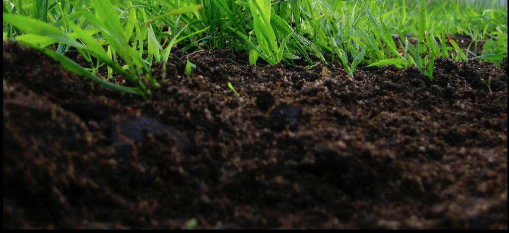 Low Performing Soil? Turn Your Soil into High Performing Soil #Organic #Compost #Garden #OrganicSoil #GardenSoil