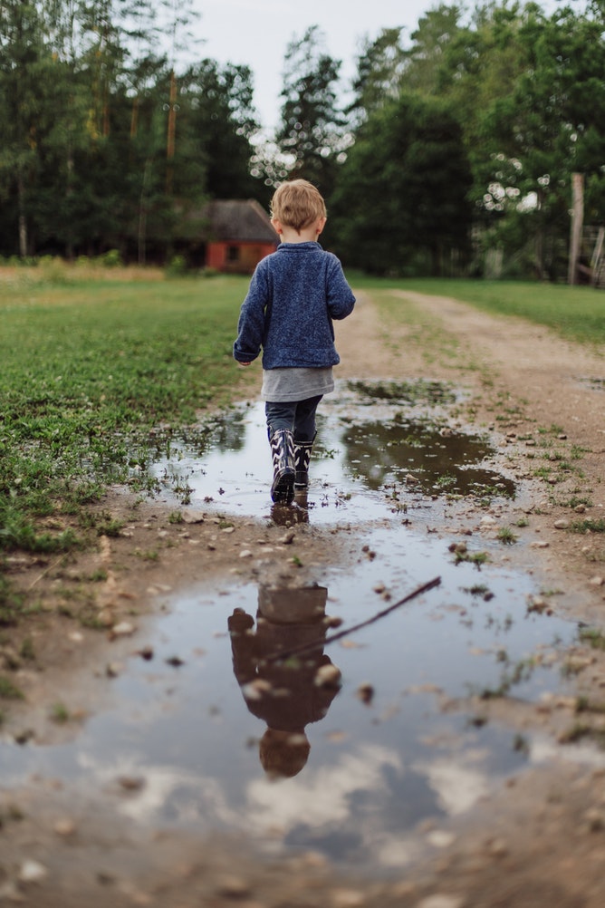 Lawn Drainage Problems? Amazing Gypsum Additive May Help Photo By Daiga Ellaby Unsplash #GreenGardening #LawnCare #LawnMaintenance #LawnDrainageProblems