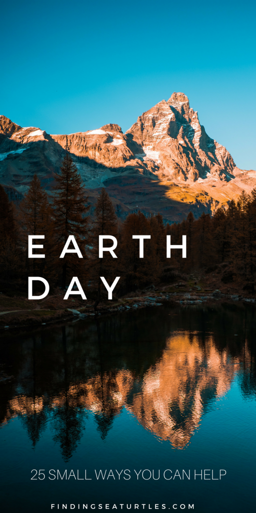Celebrate Earth Day: 25 Small Ways to Help #EarthDay #EarthDayActivities #HelpEarth #Organic