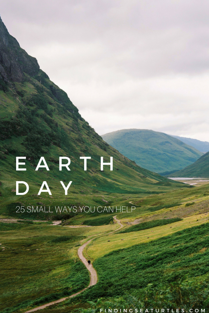 Celebrate Earth Day: 25 Small Ways to Help #EarthDay #EarthDayActivities #HelpEarth #Organic