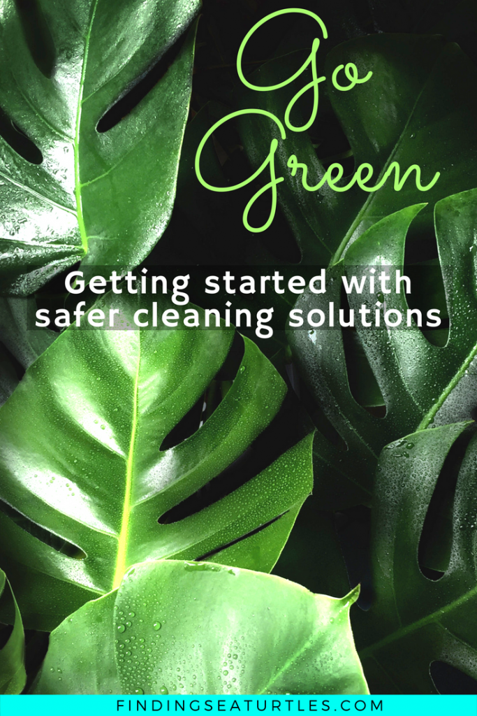 Green Cleaning Tips #GreenCleaning #Organic #HouseCleaning