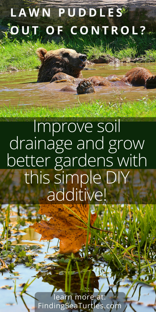 Lawn Drainage Problems? Amazing Gypsum Additive May Help #lawncare #gardeningtips #gardeninghacks