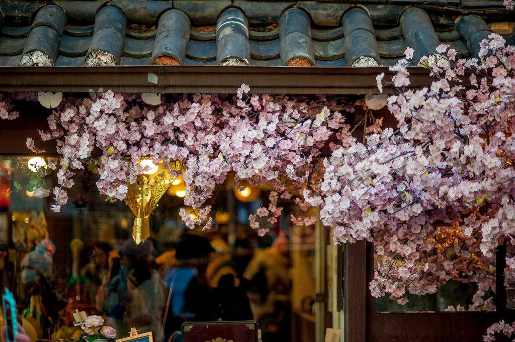 Cherry Blossoms: 15 Best Viewing Places Around the US #cherryblossoms #cherryblossomfestival #japanesecherrytree #japanesecherryblossom