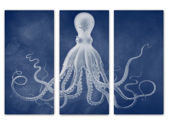 10 Cool Octopus Accessories for your Coastal Home #octopus #coastalhome #coastaldecor #sealife