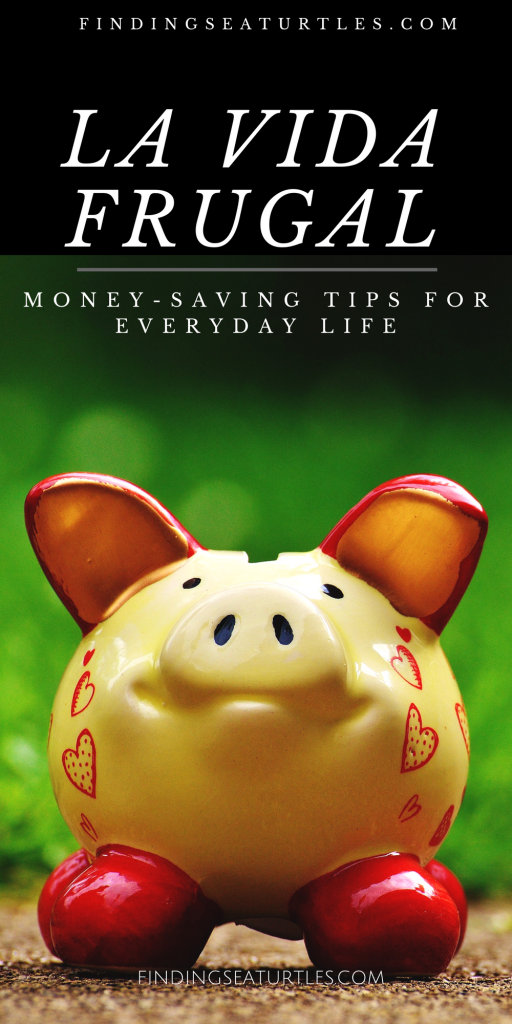 La Vida Frugal Money Saving Ideas #FrugalLiving #SavingMoney #Thrifty #FamilyFinance #DIY