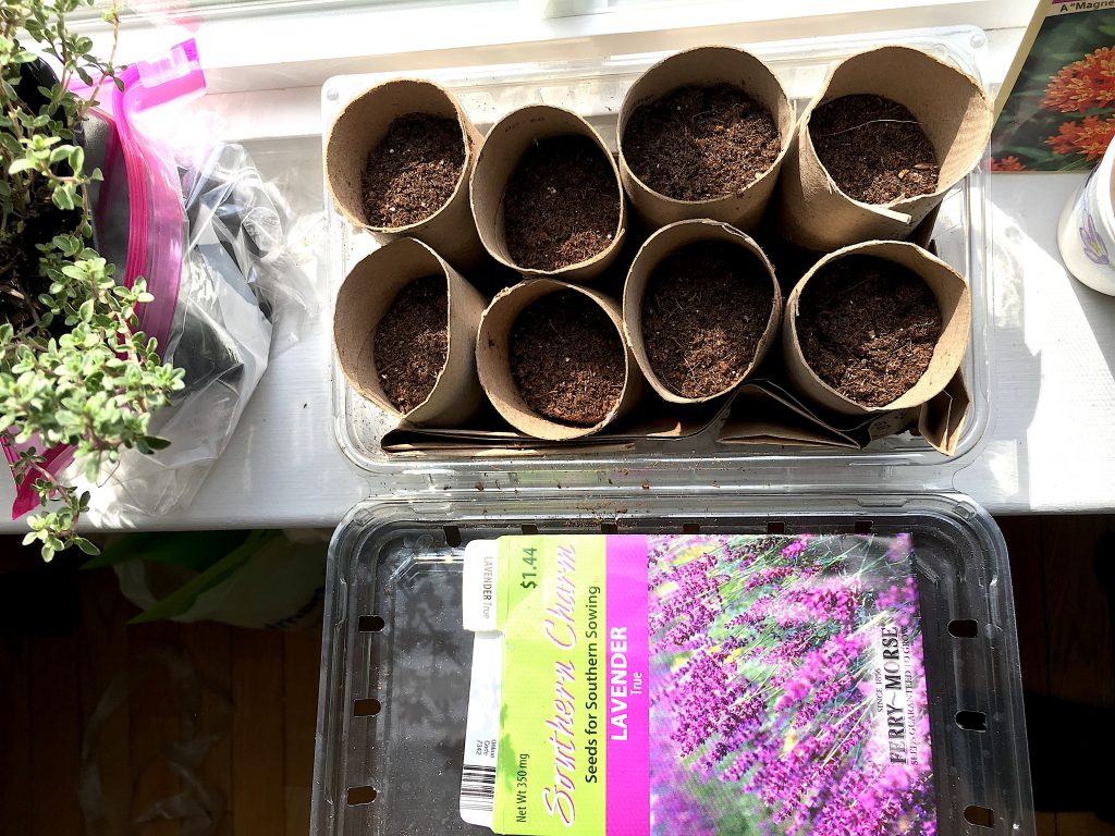 Frugal Gardening: Grow Perennials From Seeds