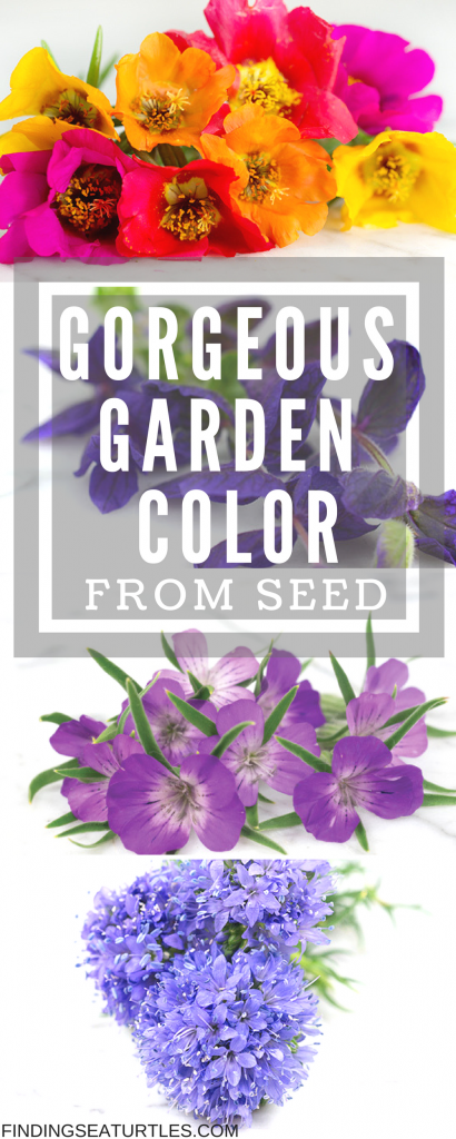 21 Gorgeous Garden Plants to Grow From Seeds #Gardening #FlowerBeds #GardenSeeds #DIY #DIYGarden