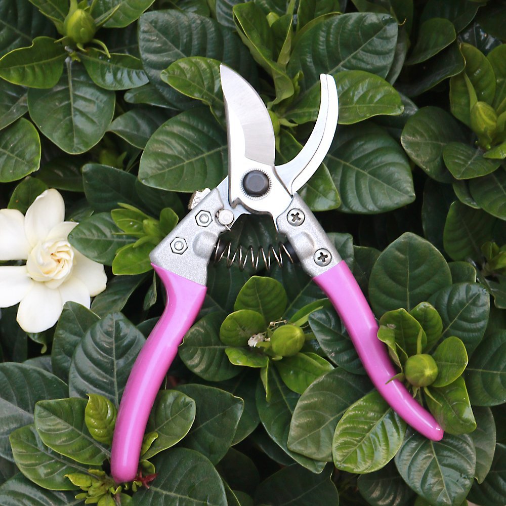 15 Indispensable Gardening Tools Professional Stainless Steel Hand Pruner #Garden #GardenTools #ToolsforGarden #GardenPruner #Tools