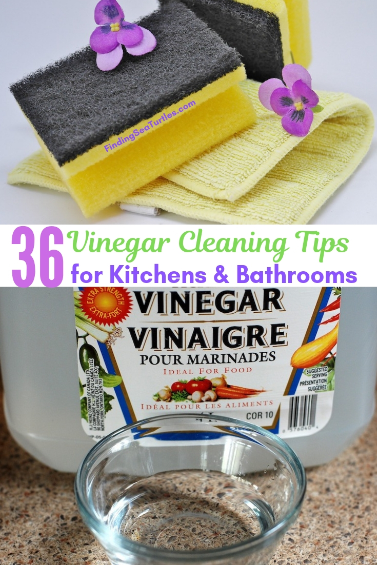 36 Vinegar Cleaning Tips For Kitchens Bathrooms #Cleaning #HouseCleaning #HouseKeeping #Vinegar #CleaningwithVinegar #Affordable #SaveMoney #SaveTime #BudgetFriendly #NonToxic #EnvironmentallyFriendly 