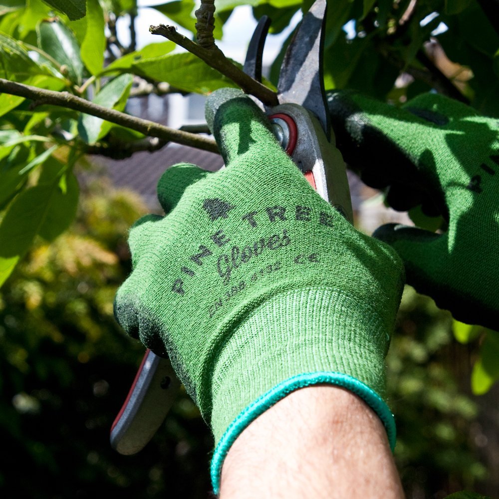 8 Gardening Gear Essentials Pine Tree Tools Bamboo Gloves #PineTreeBambooGloves #WorkGloves #PineTreeTools #Gardening #GardeningGloves #BambooWorkGloves #WorkGloves