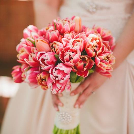 Early Season Garden Color Bridal Bouquet Tulip #Tulip #Spring #SpringBulbs #PlantSpringBulbs #FallisForPlanting #SpringGarden #Garden