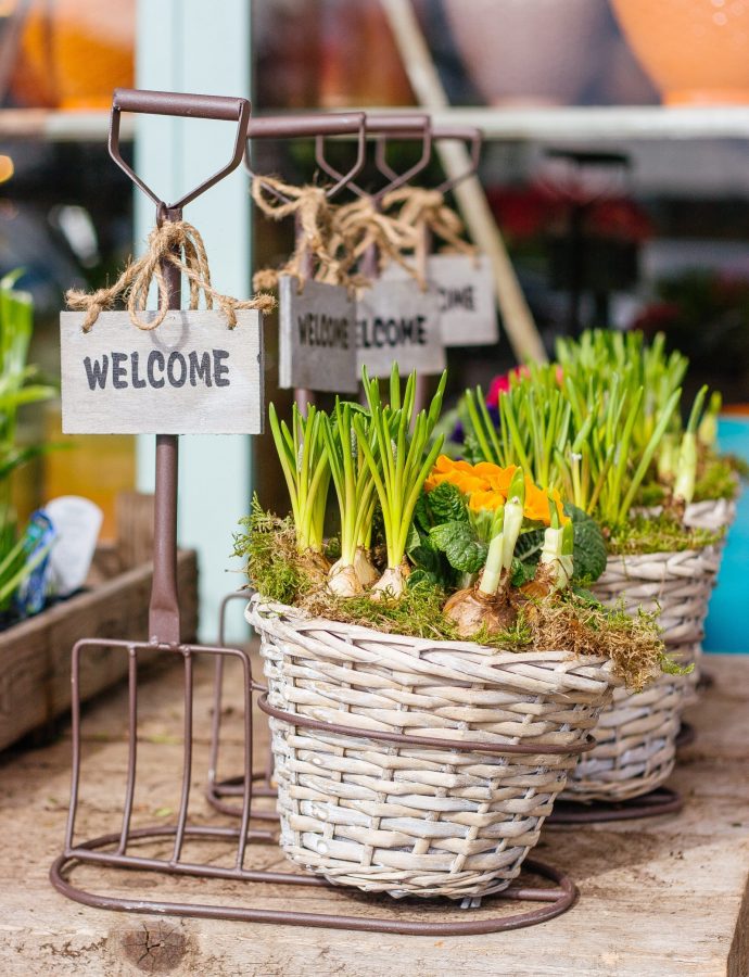 How to Plant Spring Bulbs to Maximize Curb Appeal