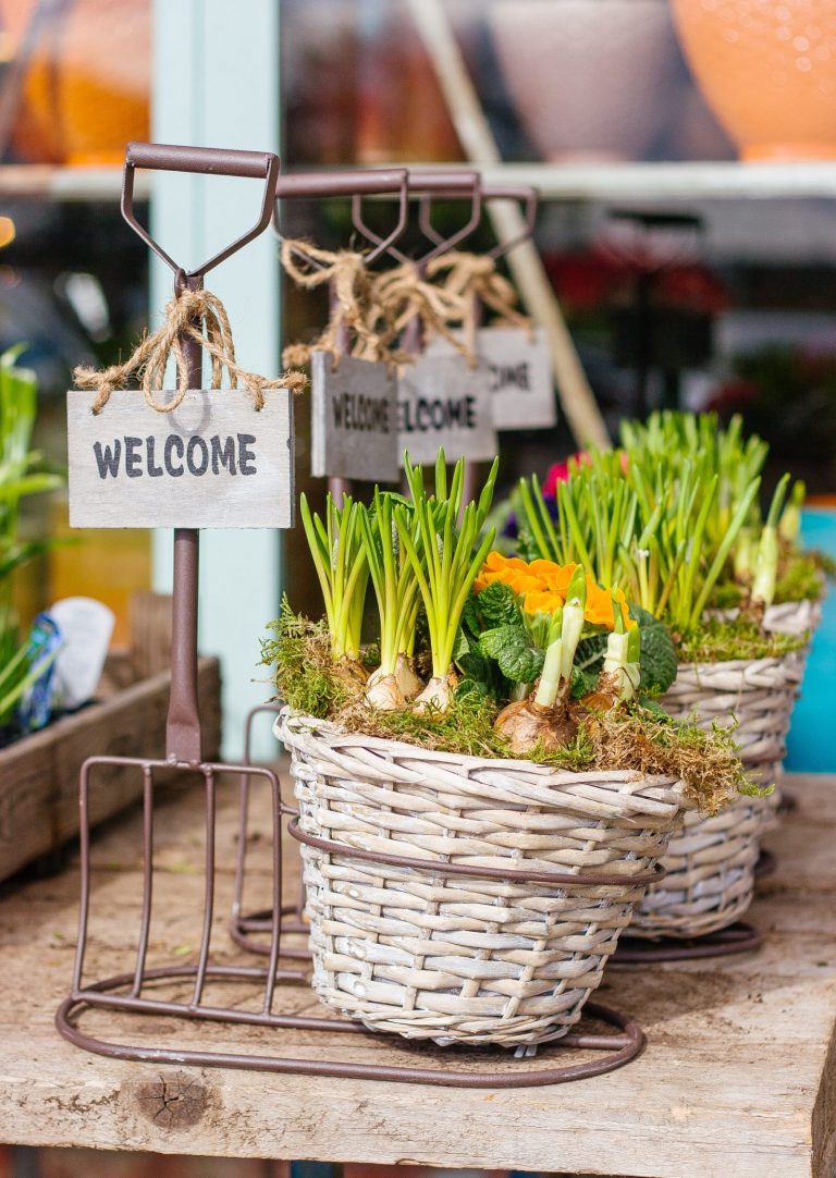 How to Plant Spring Bulbs to Maximize Curb Appeal