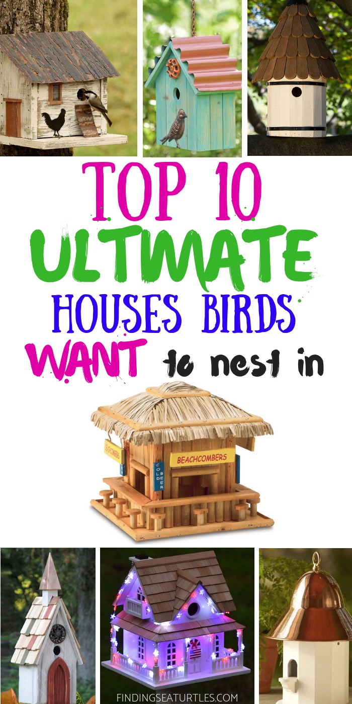10 Blissful Birdhouses To Attract Birds That Serenade