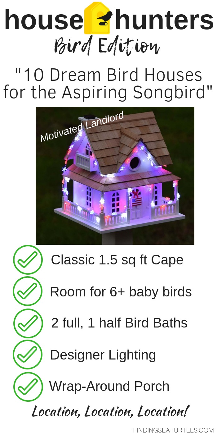 10 Blissful Birdhouses To Attract Birds That Serenade