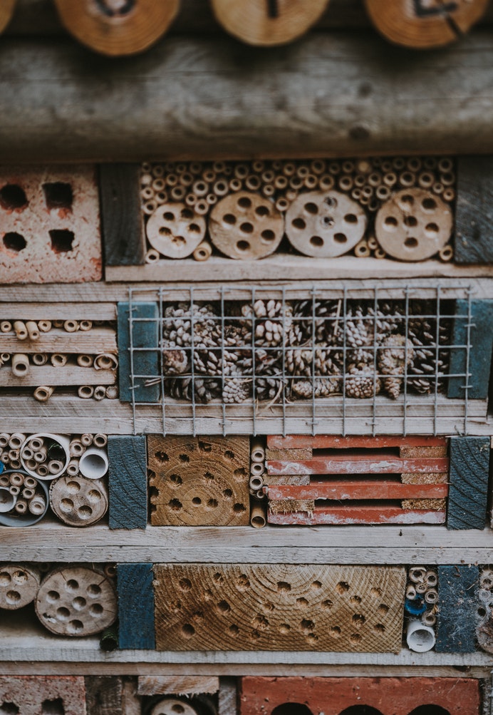 How to Build Habitats for Beneficial Wildlife Bee Hotel, Annie Spratt #Wildlife #HabitatforWildlife #ShelterforWildlife #BeneficialWildlife #BuildHabitatForWildlife #NestBoxes #BugBoxes #BeeHotels #NativePlants #BeneficialPollinators #Shelter #Habitat