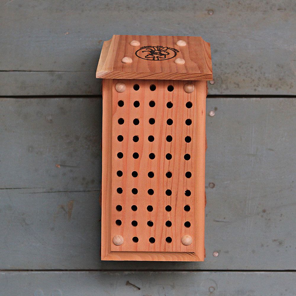 How to Build Bee Hotels for Solitary Bees Redwood Mason Bee Block #Wildlife #HabitatforWildlife #BeneficialWildlife #SaveTheBees #BeeFriendly #BeeHotels #HomeForBees #NativePlants #BeneficialPollinators 