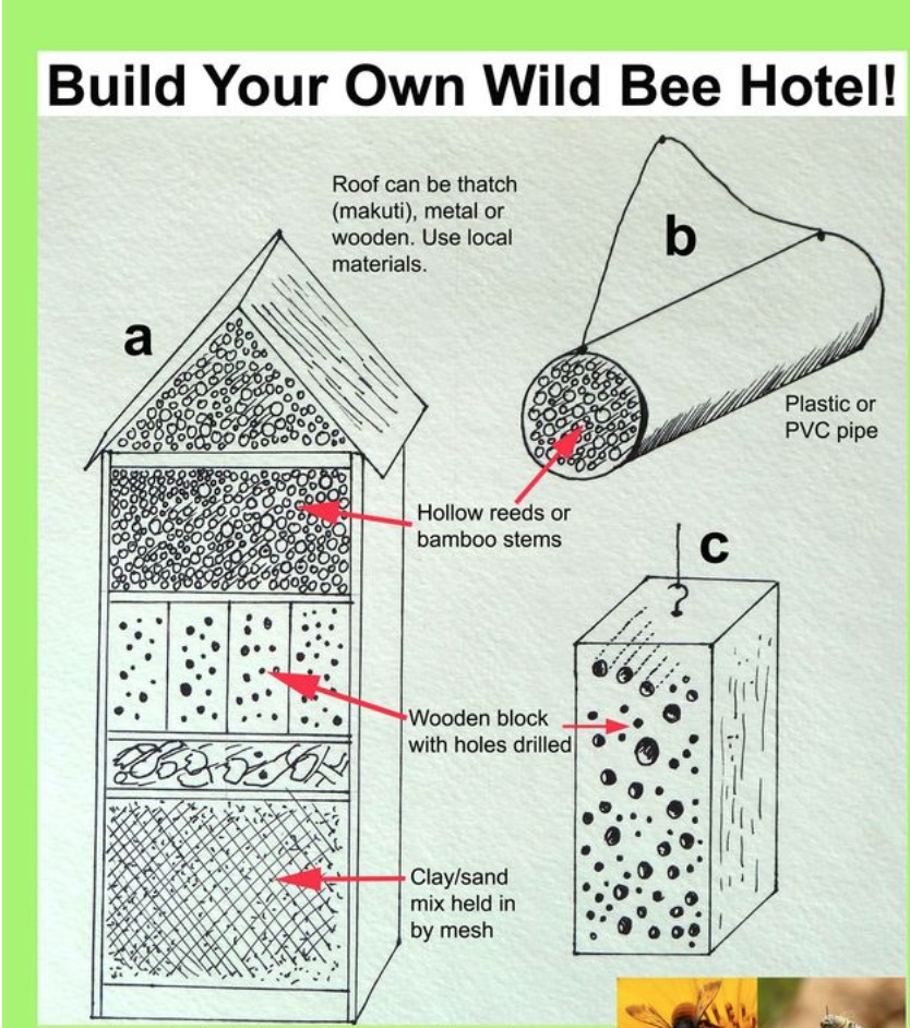 How to Build Bee Hotels for Solitary Bees Bee Hotels #BeeFriendly #SaveTheBees #Wildlife #HabitatforWildlife #BeneficialWildlife #BuildHabitatForWildlife #BeeHotels #HomeForBees #NativePlants #BeneficialPollinators 