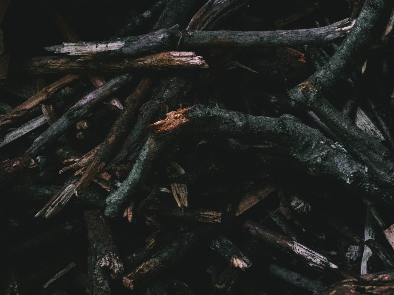 How to Build Habitats for Beneficial Wildlife