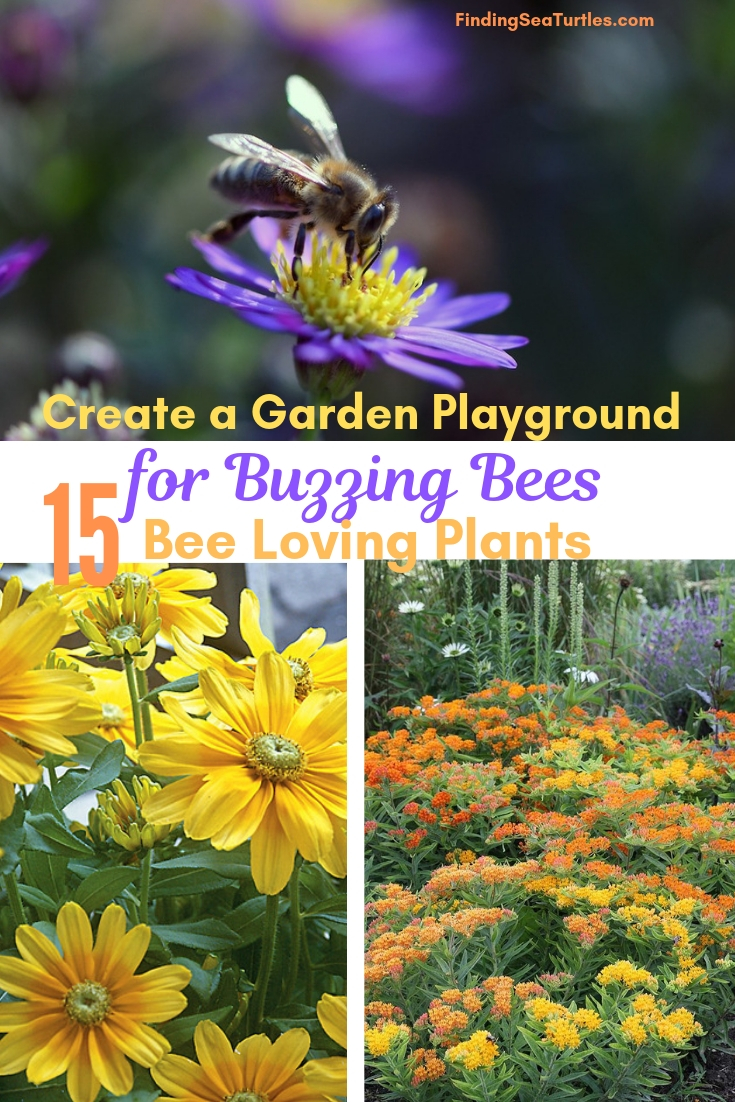 Create A Garden Playground For Buzzing Bees 15 Bee Loving Plants #Perennials #Garden #Gardening #Landscape #BeeFriendly #Bees #Pollinators #GardenPollinators #BeeFriendlyGarden