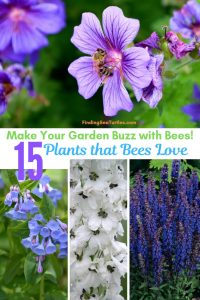 15 Bee Friendly Perennials to Make Your Garden Buzz