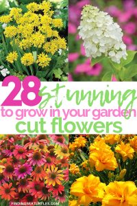 28 Best Perennials for a Cutting Flower Garden