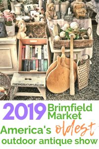brimfield tartarugas marinhas encontrando