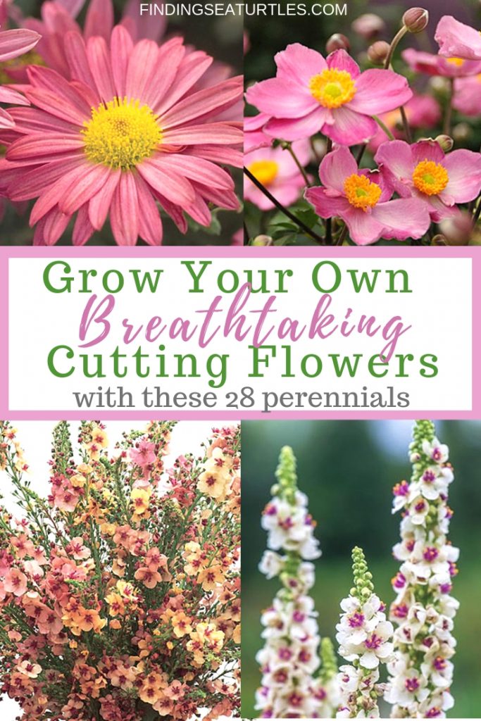 28 Best Perennials for a Cutting Flower Garden