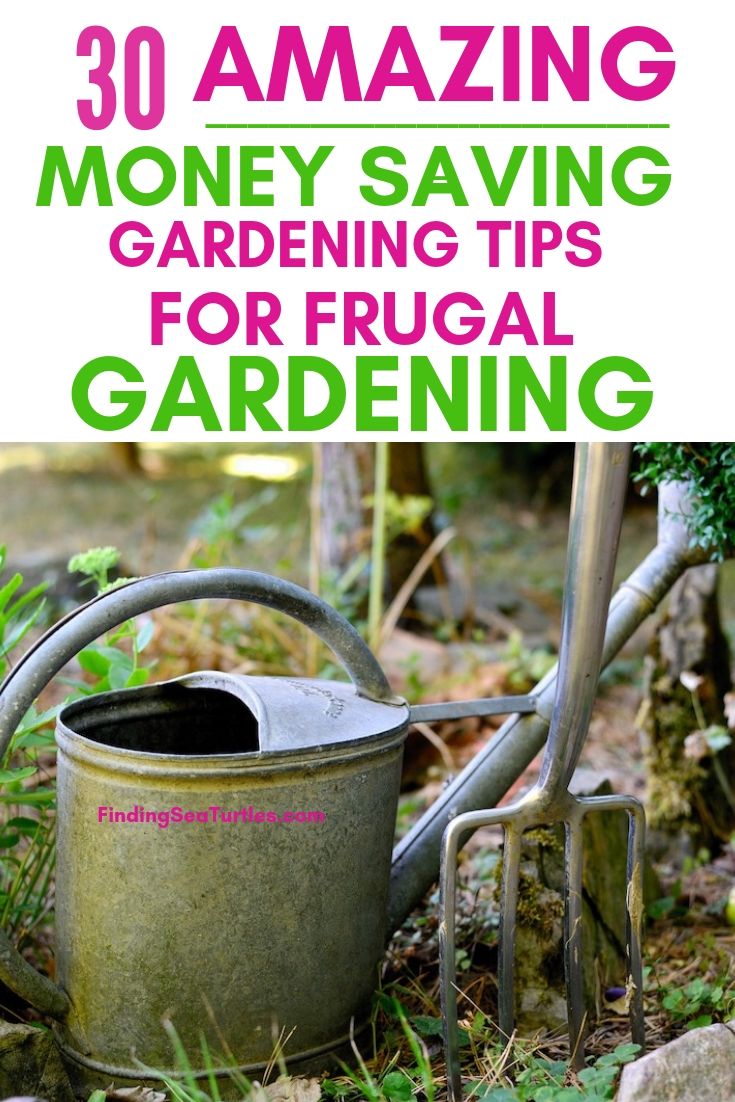 30 AMAZING Money Saving Gardening Tips For Frugal Gardening #SaveMoney #MoneySavingTips #SaveTime #GardenSavings #Garden #Gardening #Landscape #BudgetFriendly #FrugalLiving #FrugalGardening #ThriftyGardening